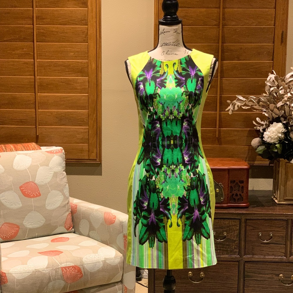 Patten silk dress
